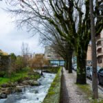 The Photographer dsc00098.jpg