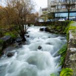 The Photographer dsc00110.jpg