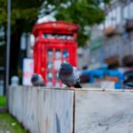 The Photographer dsc00196.jpg