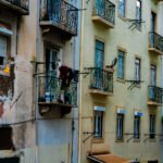 The Photographer dsc00202.jpg