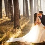 pexels fotografbrasov 31412721